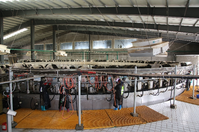 ob电竞·(中国游)电子竞技平台